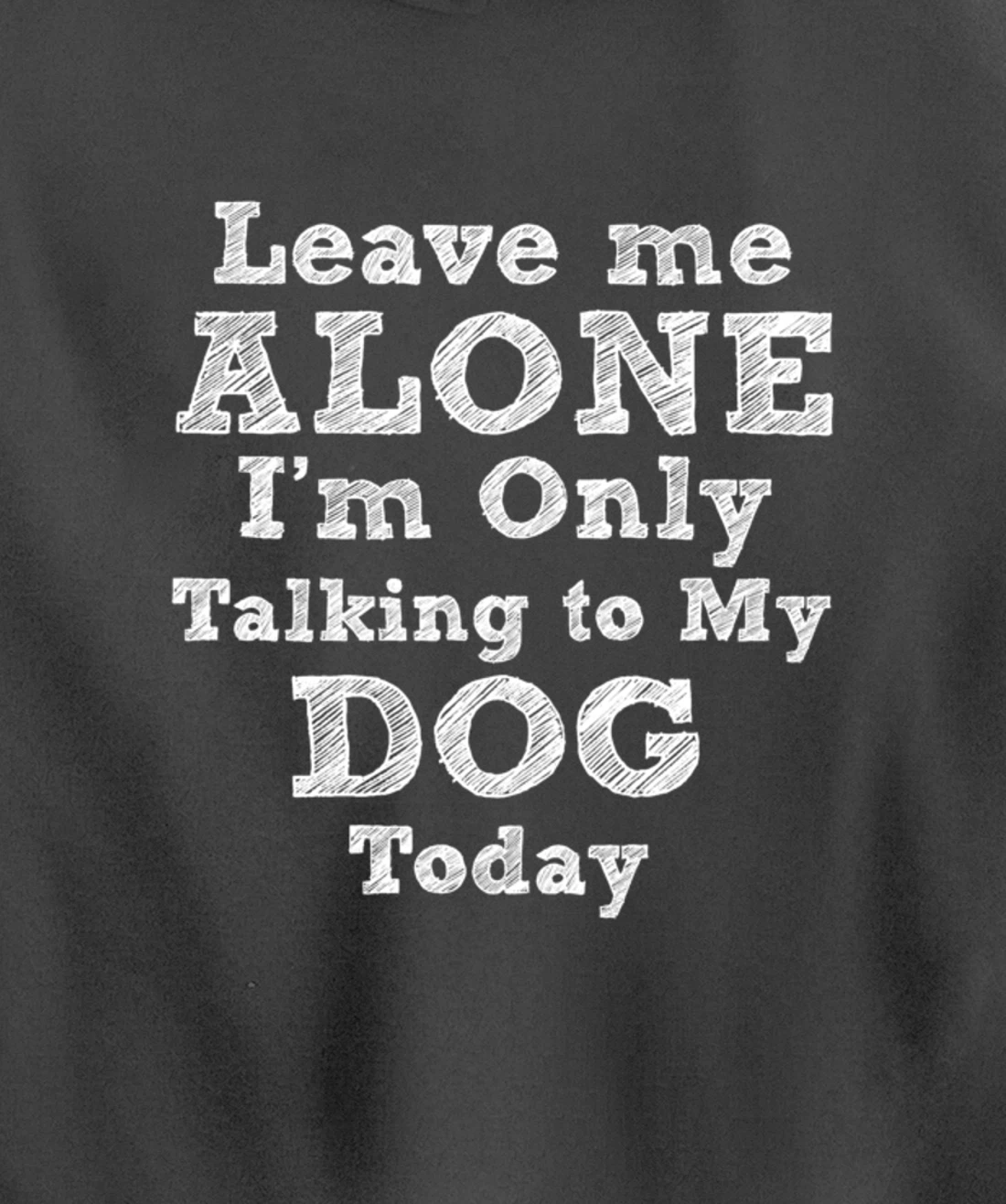 I'm Only Talking To My Dog Today Dog Lovers Gift Pullover Hoodie