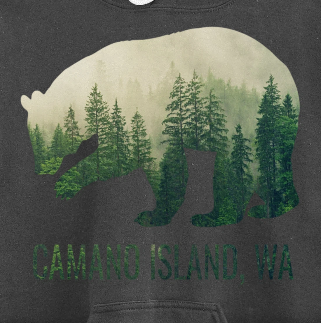 Camano Island Bear PNW Washington Pacific Northwest Gift Pullover Hoodie