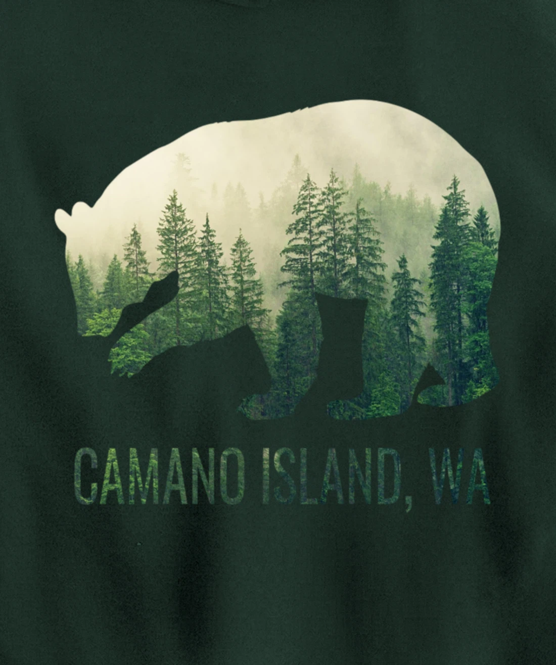 Camano Island Bear PNW Washington Pacific Northwest Gift Pullover Hoodie