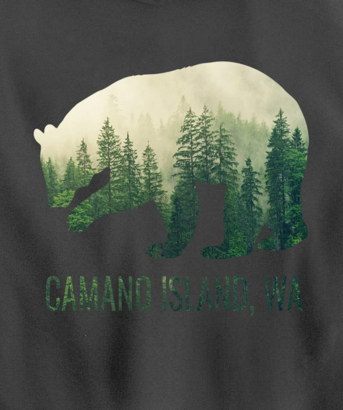 Camano Island Bear PNW Washington Pacific Northwest Gift Pullover Hoodie