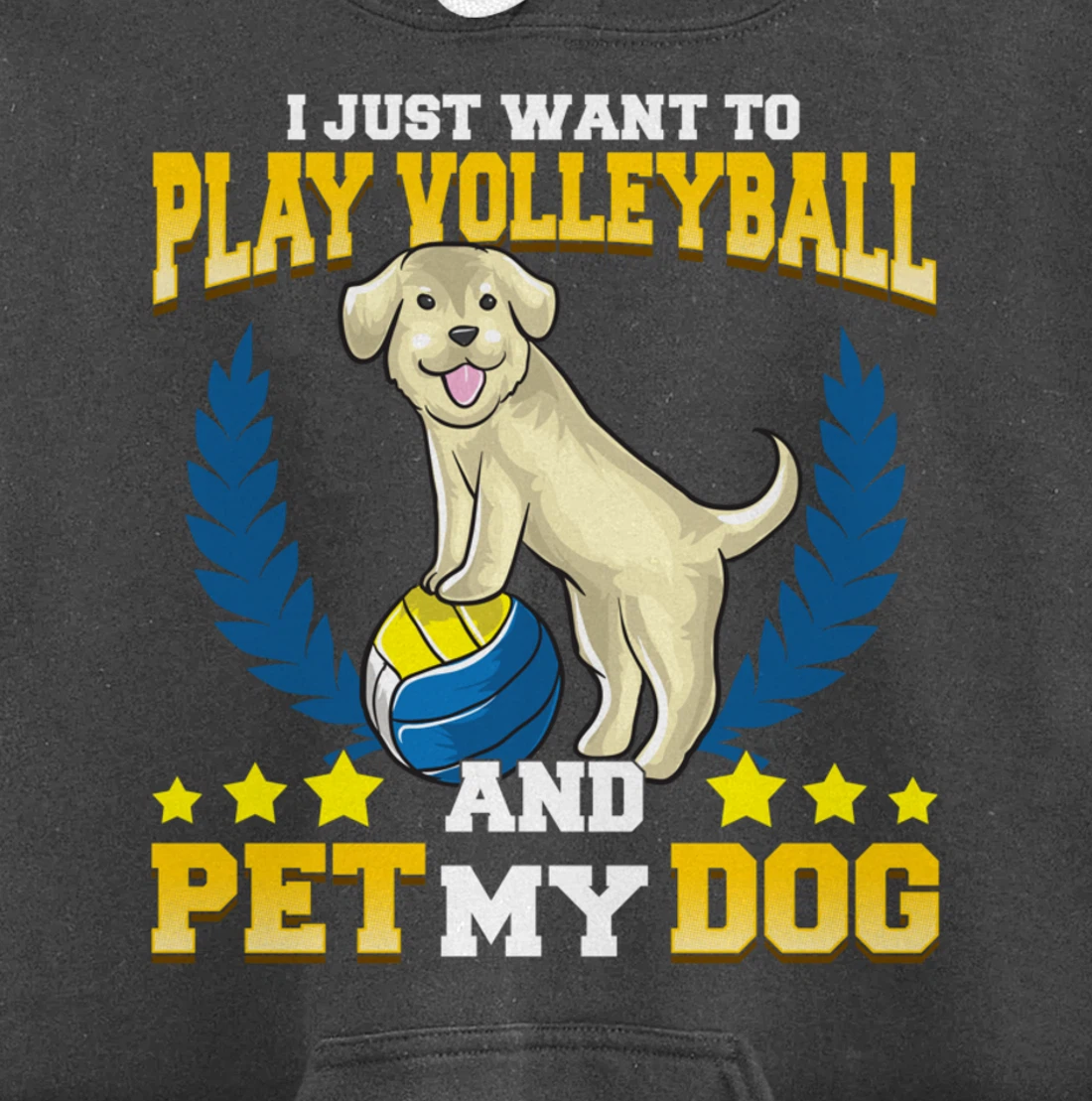 Cute & Funny I Just Want To Play Volleyball and Pet My Dog Pullover Hoodie