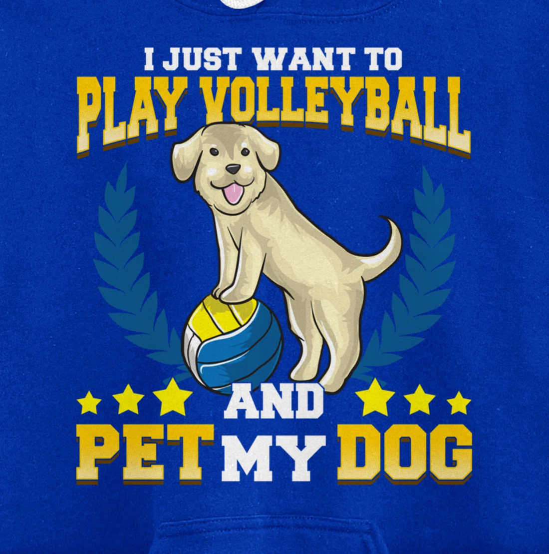 Cute & Funny I Just Want To Play Volleyball and Pet My Dog Pullover Hoodie