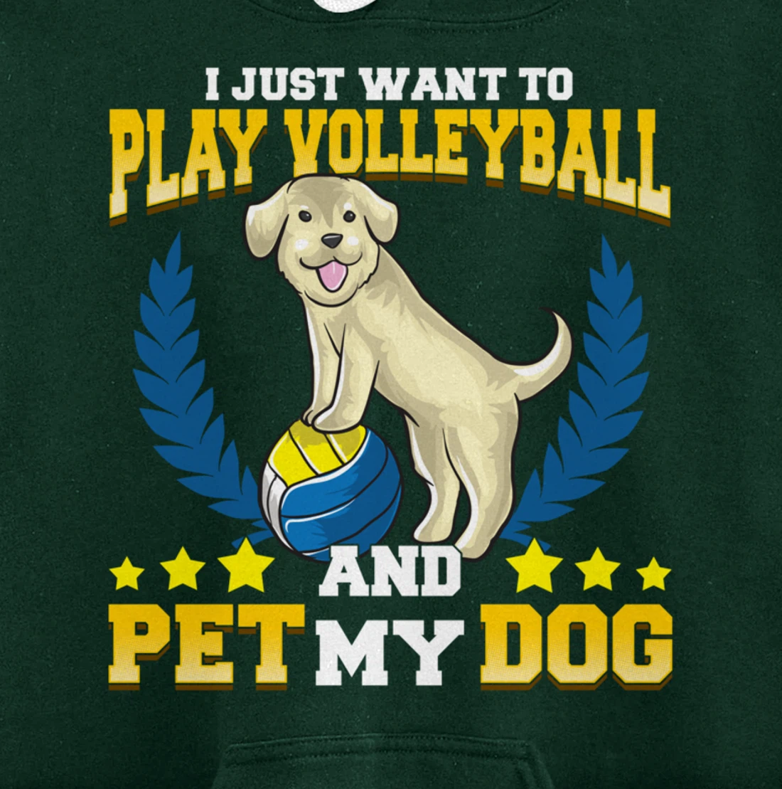 Cute & Funny I Just Want To Play Volleyball and Pet My Dog Pullover Hoodie