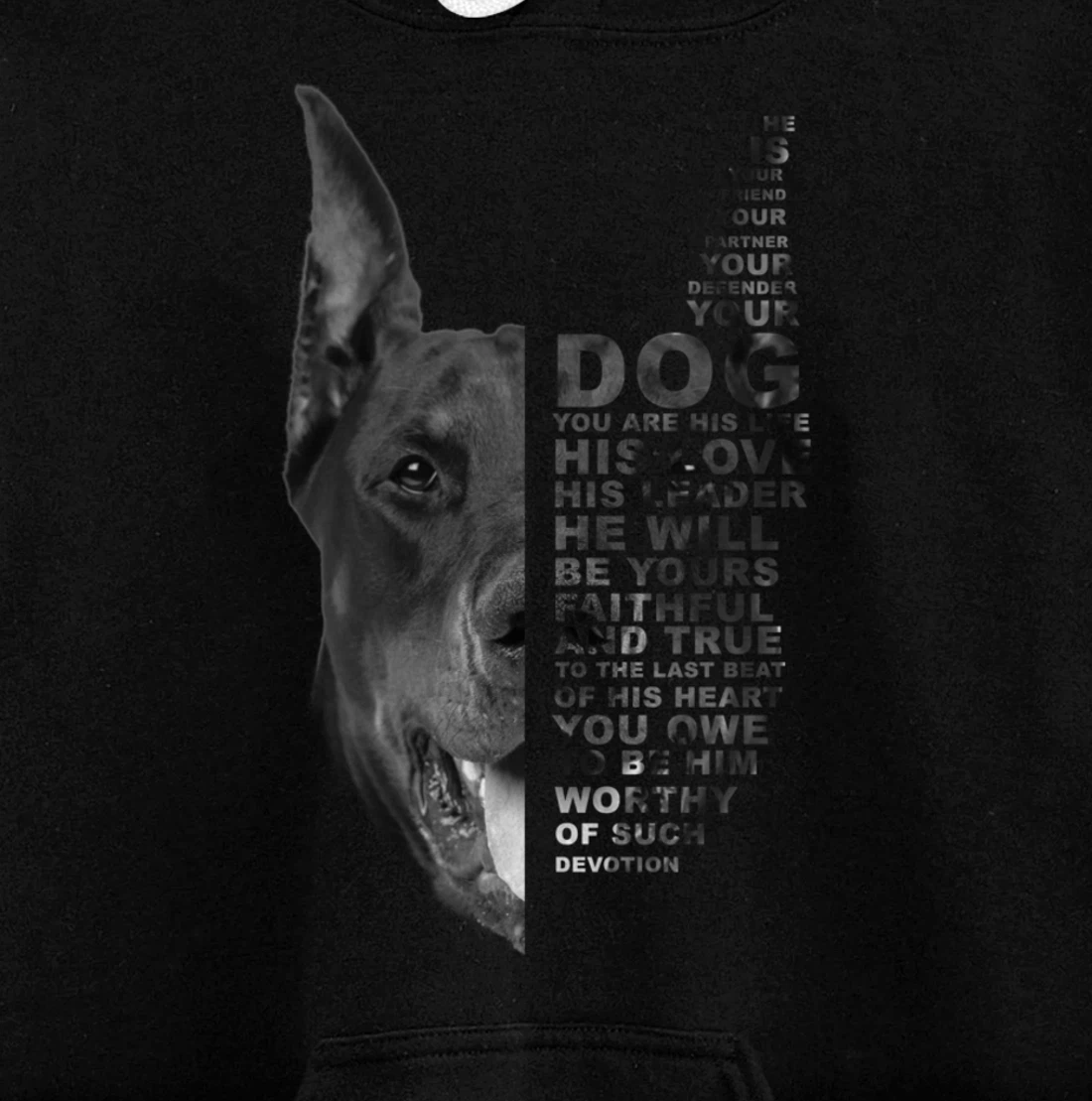 He Is Your Friend Your Partner Your Dog Doberman Dogs Lover Pullover Hoodie