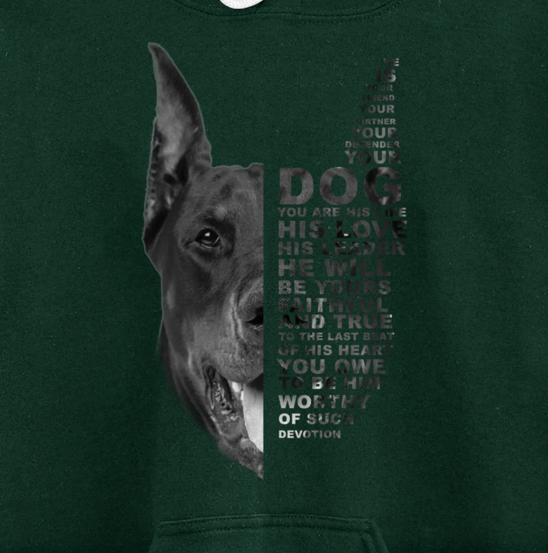 He Is Your Friend Your Partner Your Dog Doberman Dogs Lover Pullover Hoodie