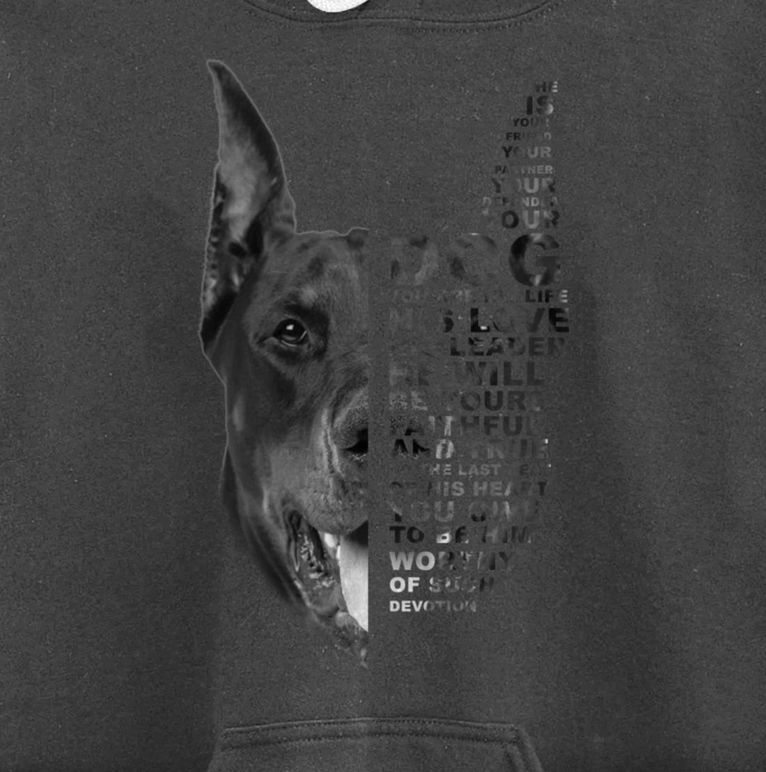 He Is Your Friend Your Partner Your Dog Doberman Dogs Lover Pullover Hoodie