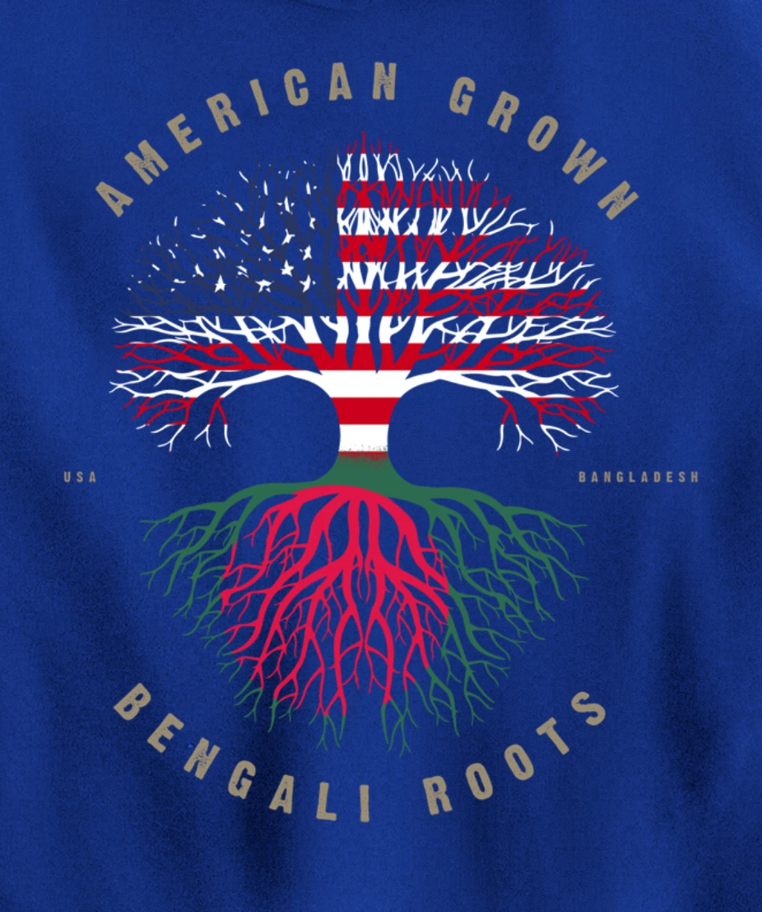 American Grown Bengali Heart Love Bangladesh Flag Pullover Hoodie