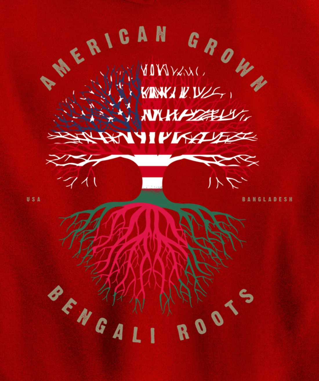 American Grown Bengali Heart Love Bangladesh Flag Pullover Hoodie