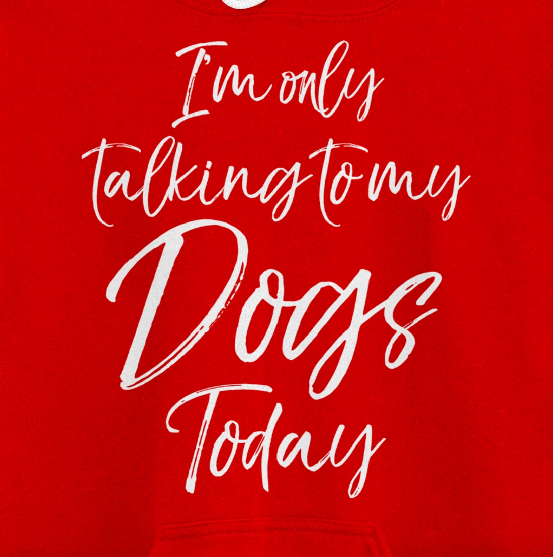 Funny Introvert Quote Gift I'm Only Talking to My Dogs Today Pullover Hoodie