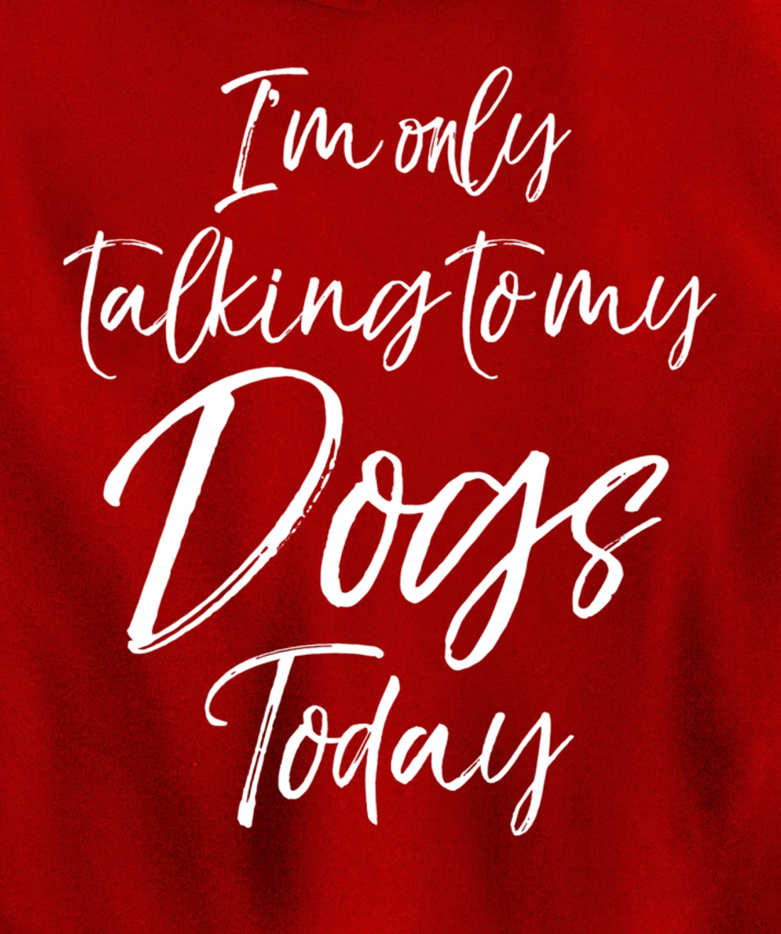 Funny Introvert Quote Gift I'm Only Talking to My Dogs Today Pullover Hoodie