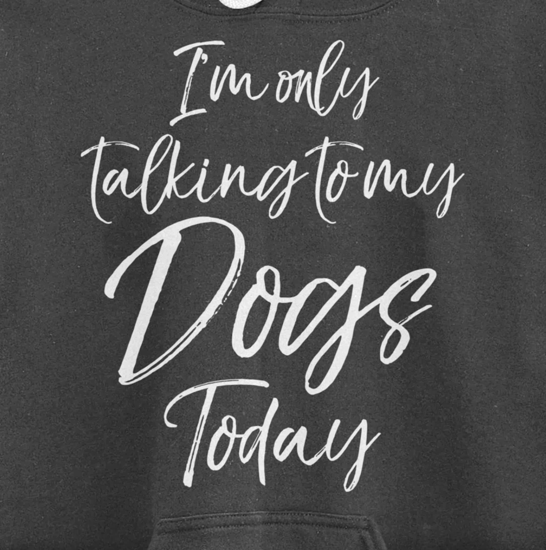 Funny Introvert Quote Gift I'm Only Talking to My Dogs Today Pullover Hoodie