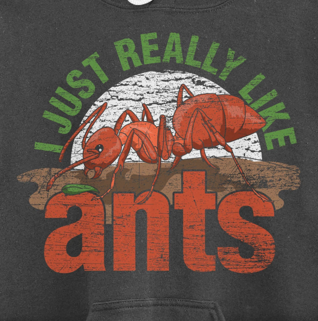 Ant Keeper Gift Idea Entomology Lover Ant Pullover Hoodie