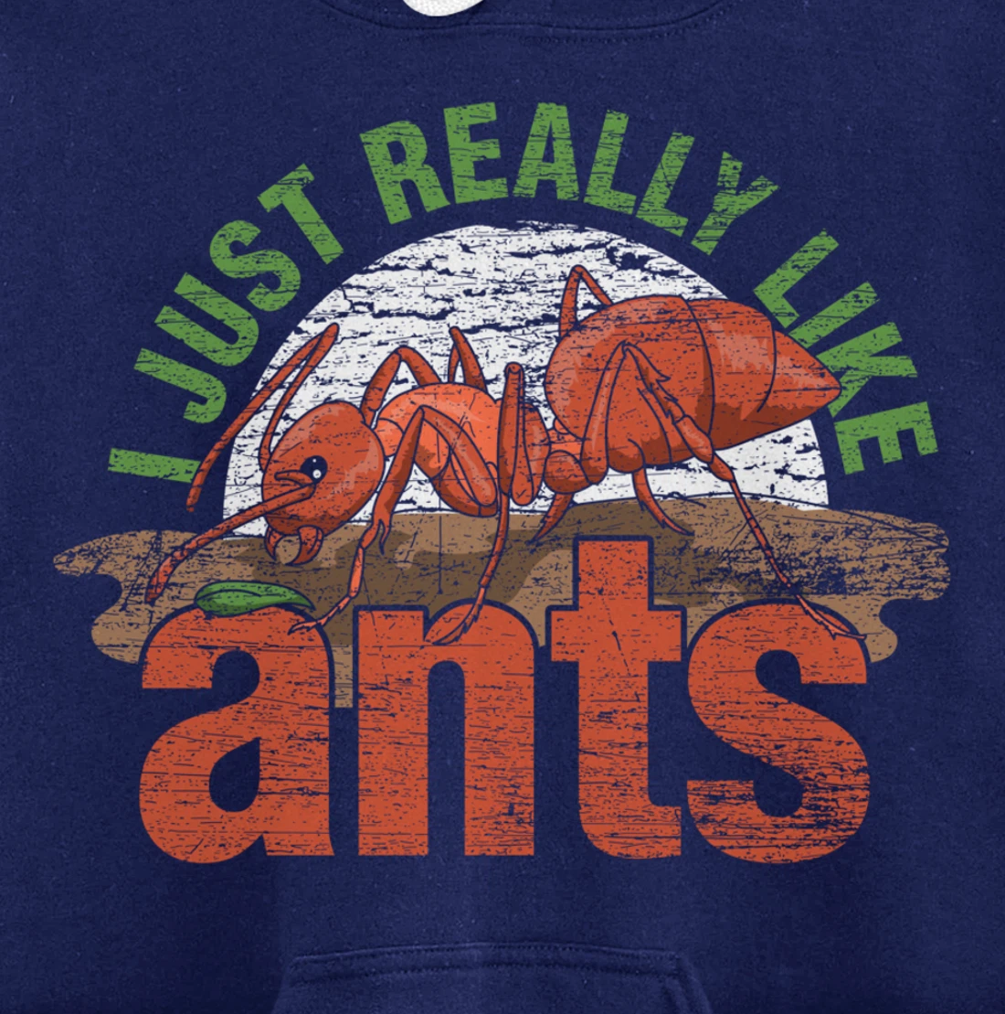 Ant Keeper Gift Idea Entomology Lover Ant Pullover Hoodie