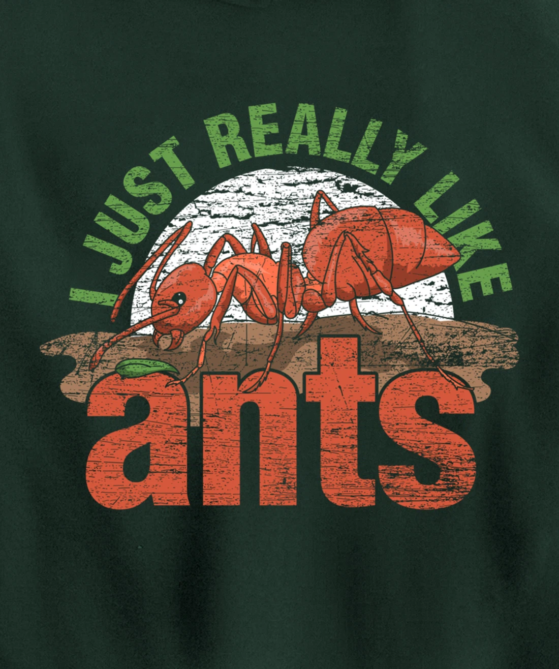 Ant Keeper Gift Idea Entomology Lover Ant Pullover Hoodie