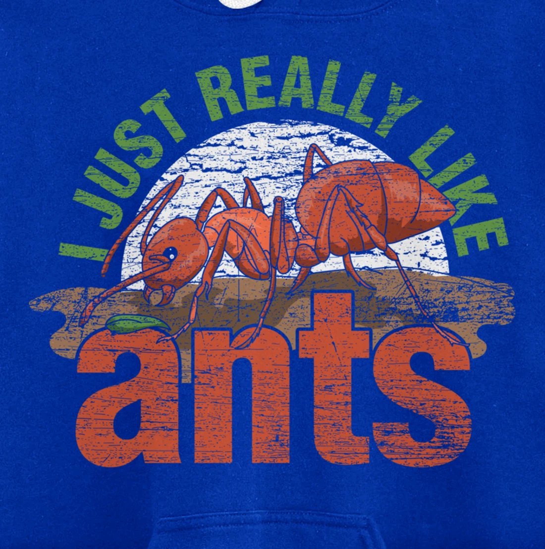 Ant Keeper Gift Idea Entomology Lover Ant Pullover Hoodie