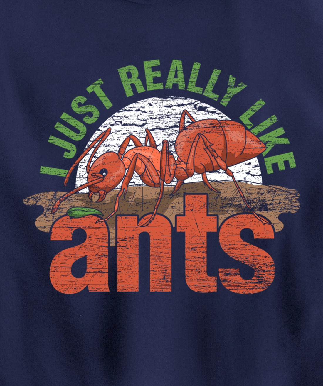 Ant Keeper Gift Idea Entomology Lover Ant Pullover Hoodie