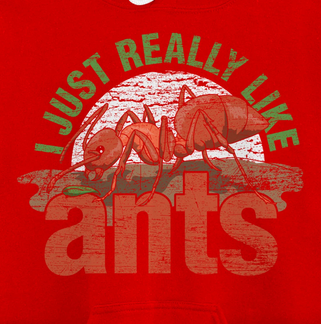Ant Keeper Gift Idea Entomology Lover Ant Pullover Hoodie