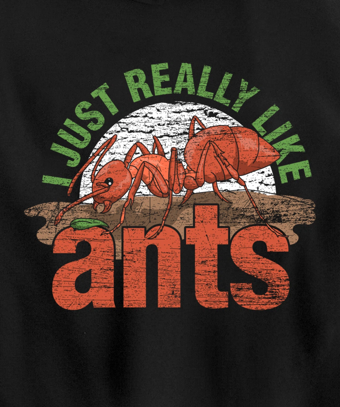 Ant Keeper Gift Idea Entomology Lover Ant Pullover Hoodie