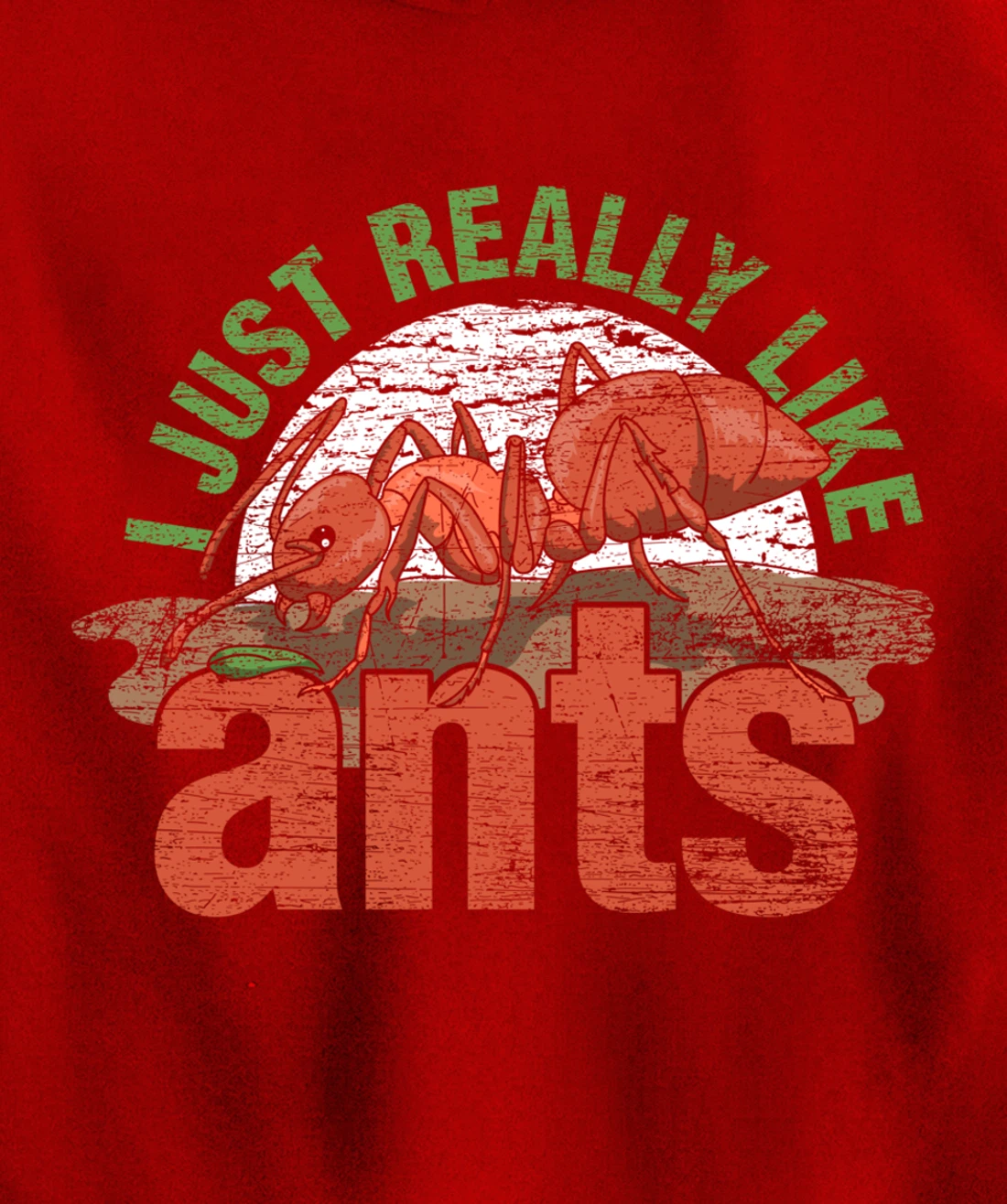 Ant Keeper Gift Idea Entomology Lover Ant Pullover Hoodie