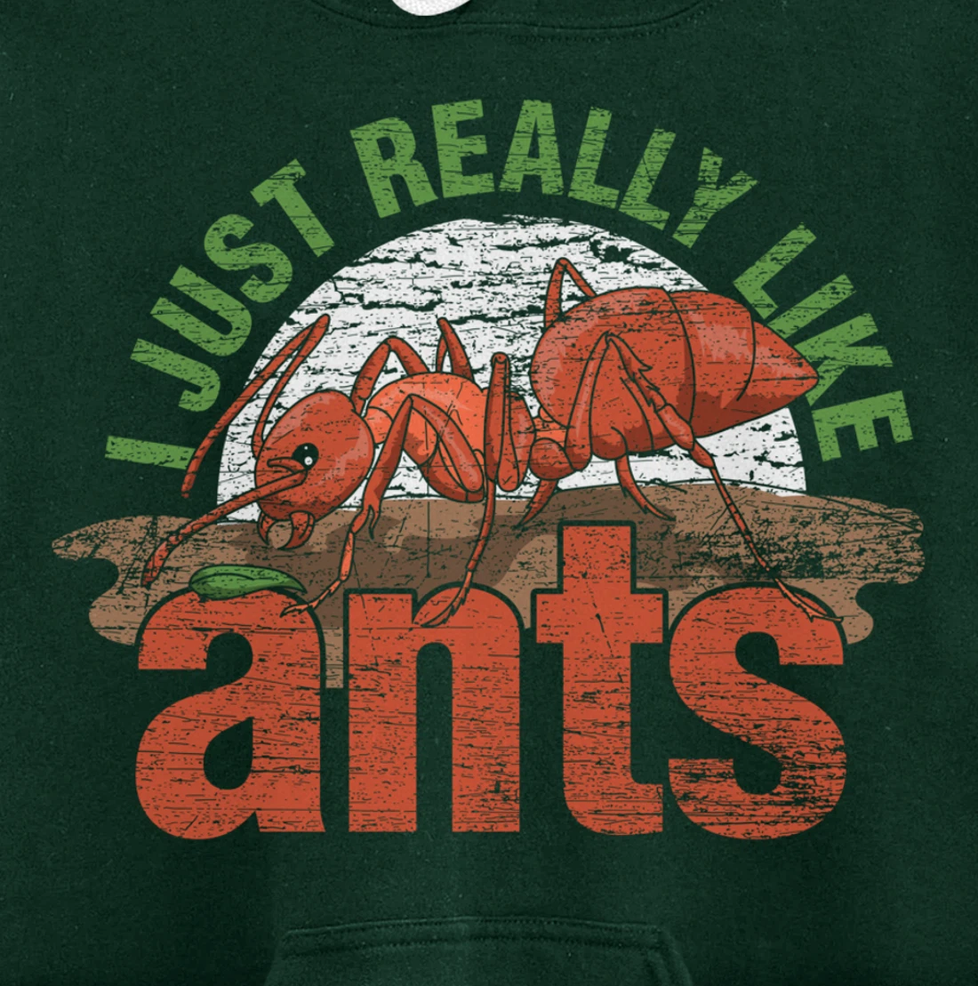 Ant Keeper Gift Idea Entomology Lover Ant Pullover Hoodie