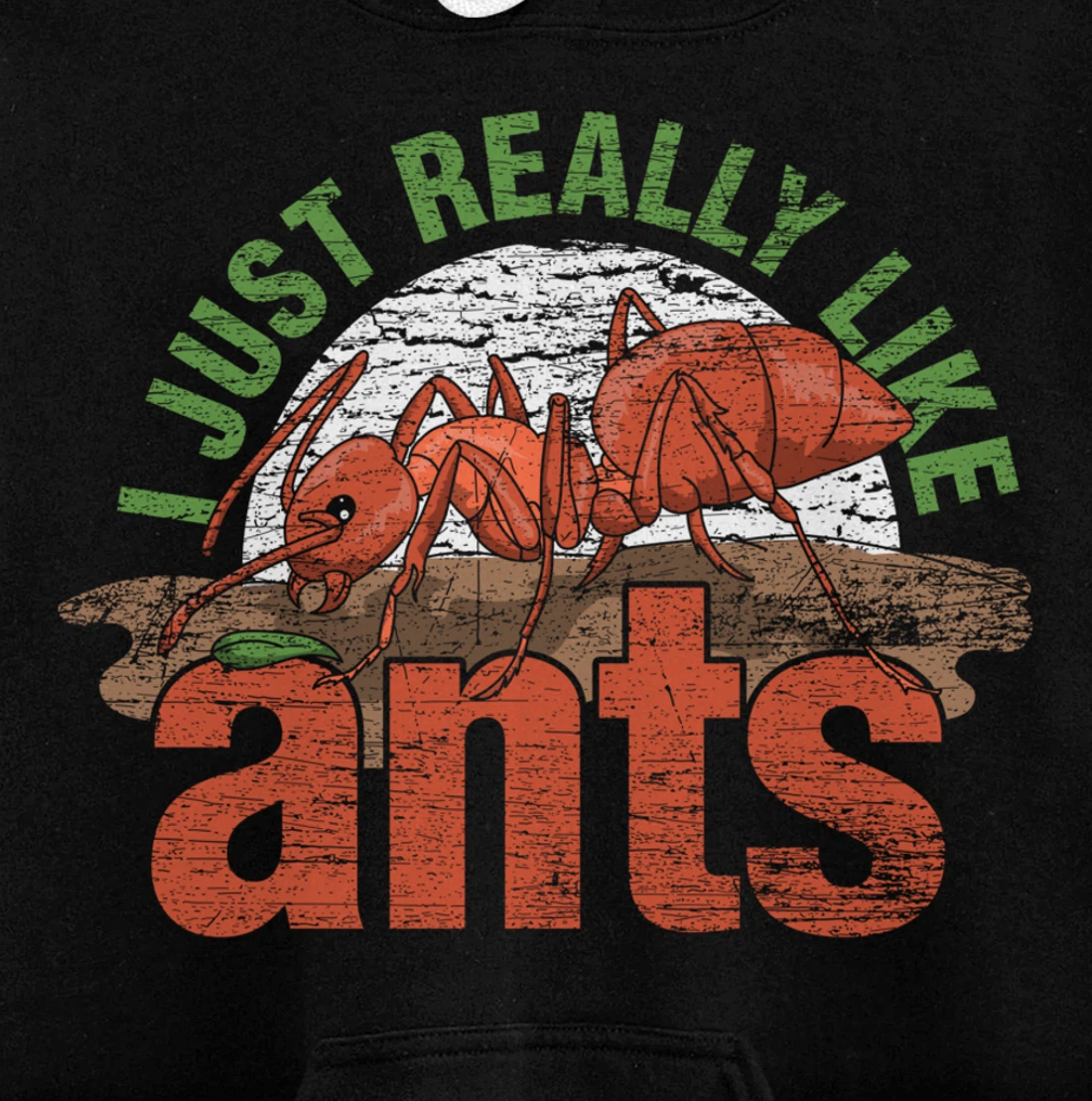 Ant Keeper Gift Idea Entomology Lover Ant Pullover Hoodie