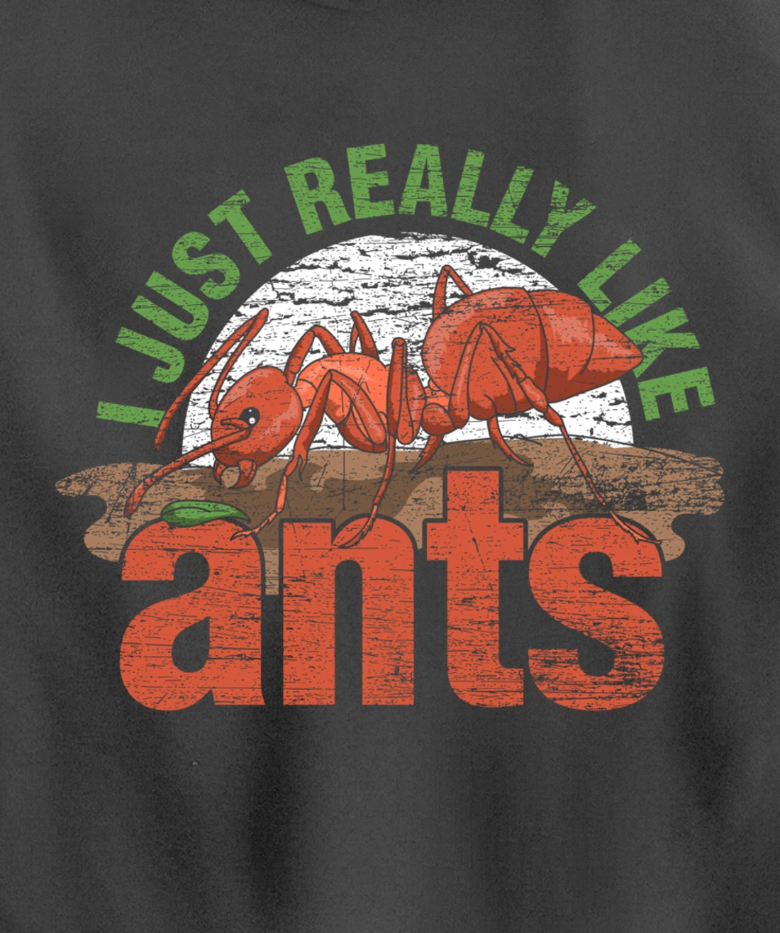 Ant Keeper Gift Idea Entomology Lover Ant Pullover Hoodie