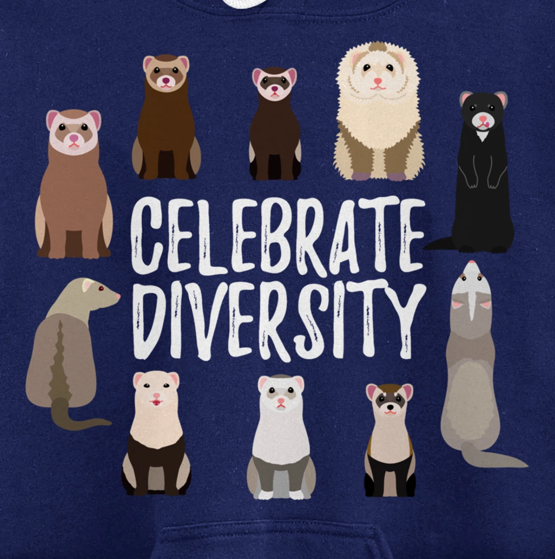 Pet Gifts for Ferret Lovers Celebrate Diversity Funny Ferret Pullover Hoodie