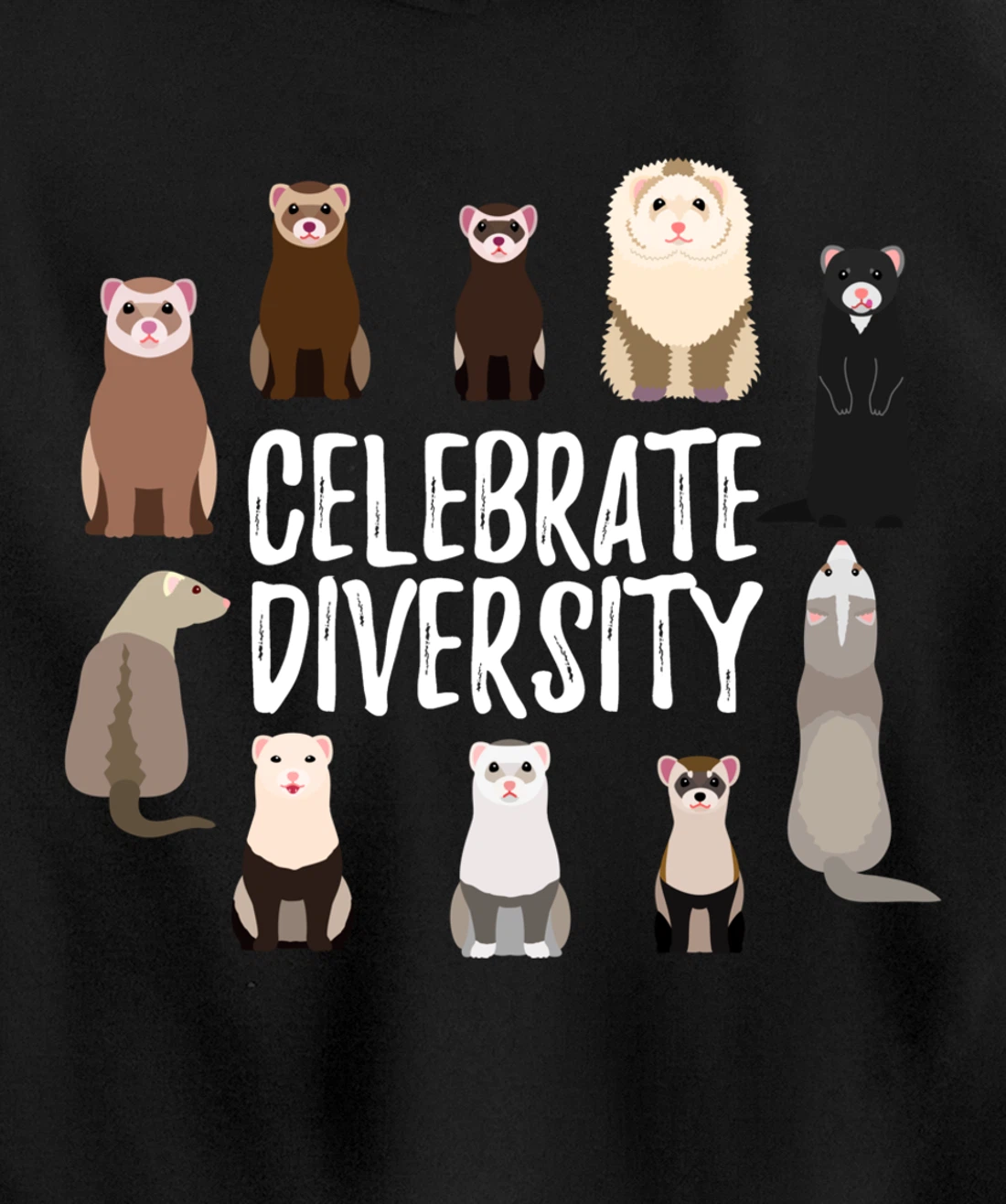 Pet Gifts for Ferret Lovers Celebrate Diversity Funny Ferret Pullover Hoodie