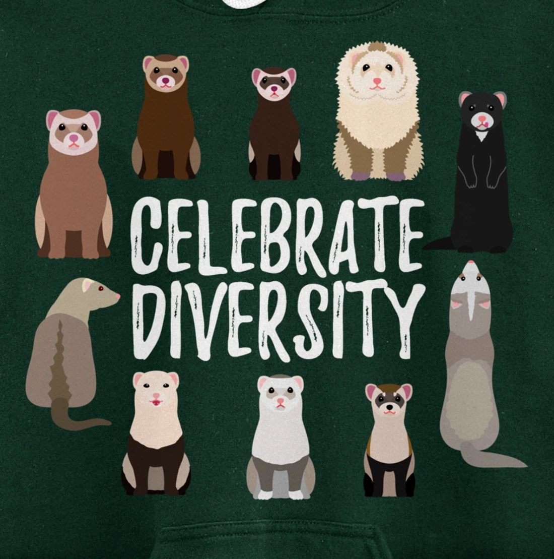 Pet Gifts for Ferret Lovers Celebrate Diversity Funny Ferret Pullover Hoodie