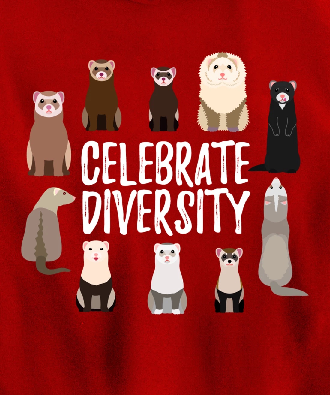 Pet Gifts for Ferret Lovers Celebrate Diversity Funny Ferret Pullover Hoodie