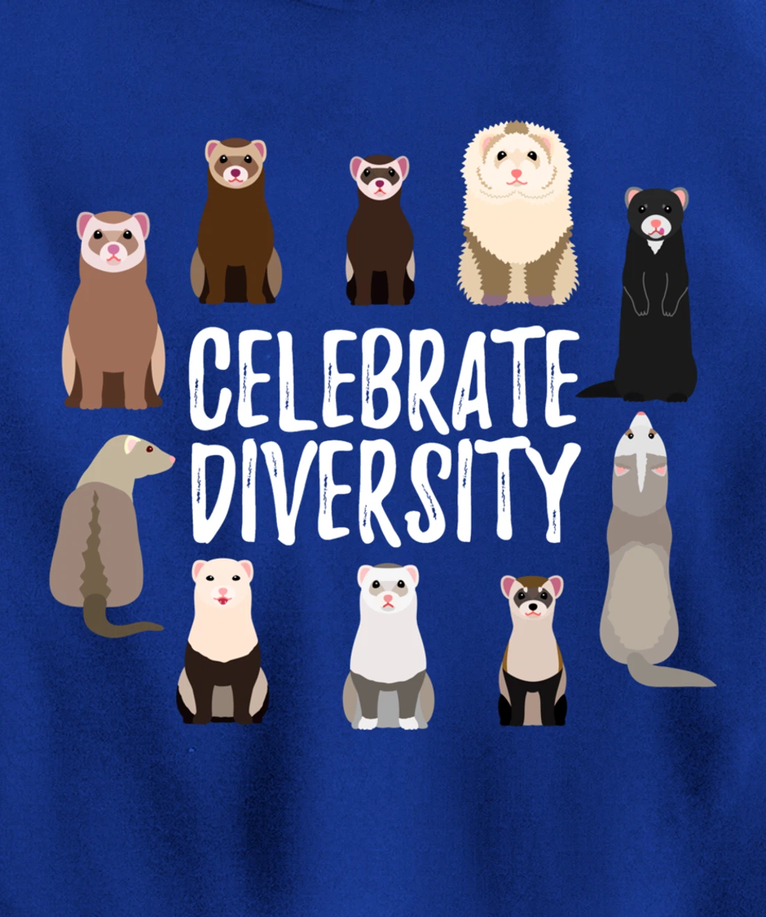 Pet Gifts for Ferret Lovers Celebrate Diversity Funny Ferret Pullover Hoodie