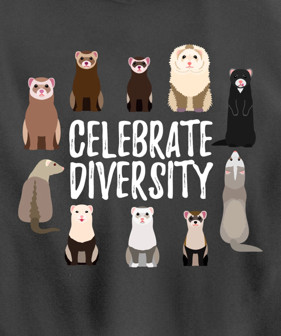 Pet Gifts for Ferret Lovers Celebrate Diversity Funny Ferret Pullover Hoodie