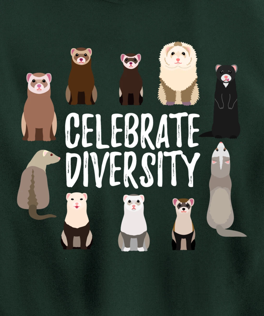 Pet Gifts for Ferret Lovers Celebrate Diversity Funny Ferret Pullover Hoodie