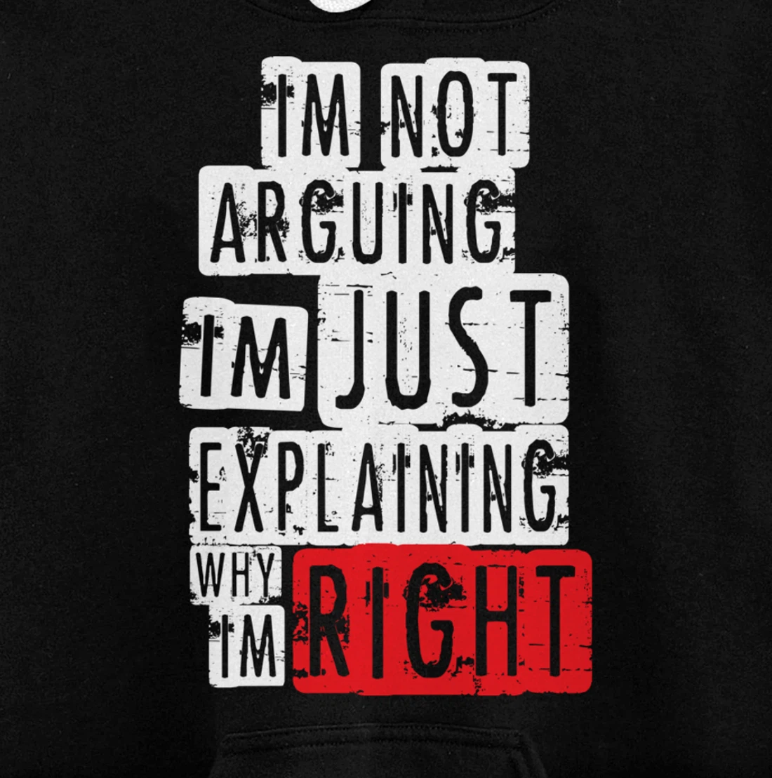 I'm Not Arguing I'm Just Explaining Why I'm Right! Pullover Hoodie