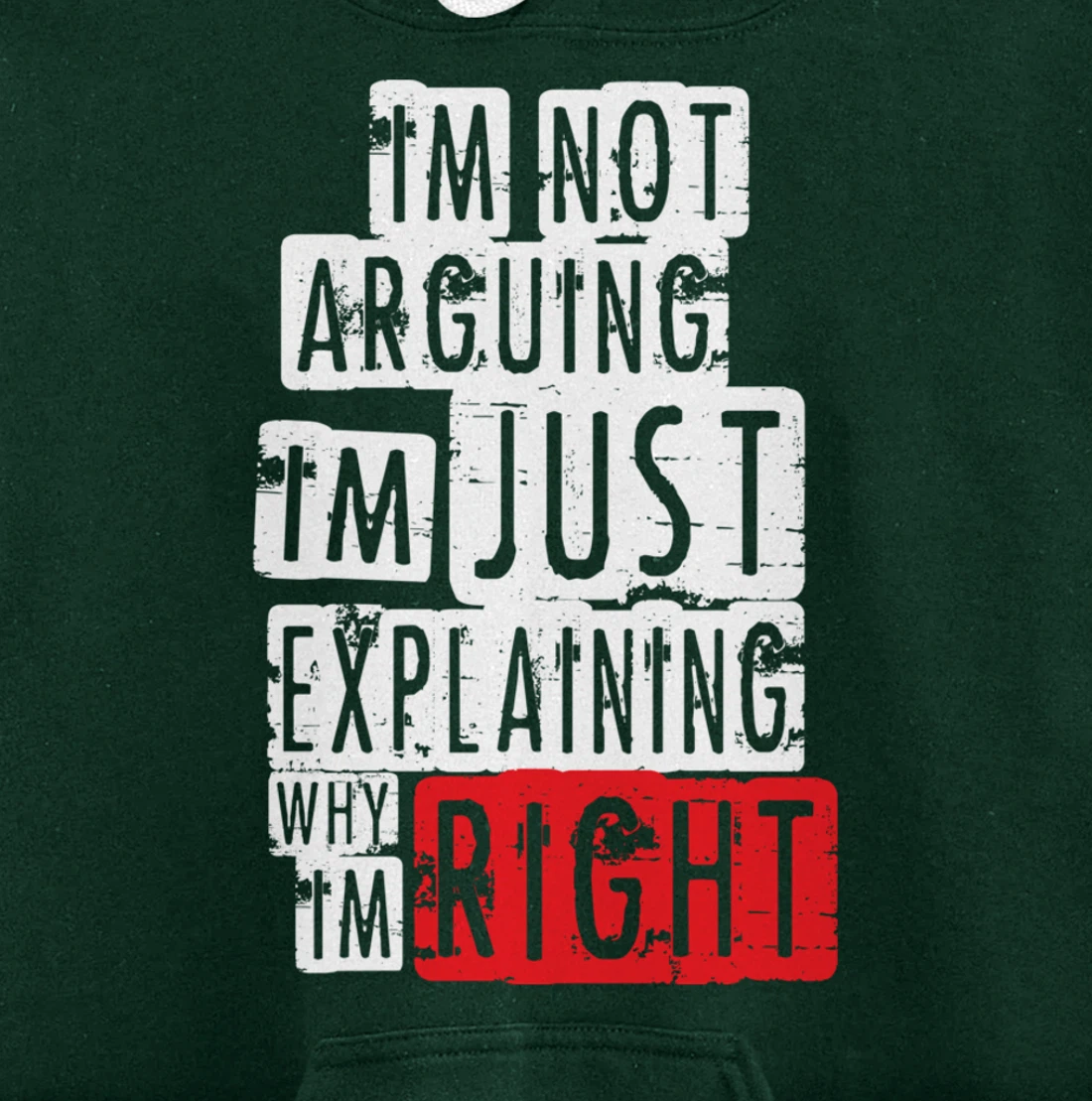 I'm Not Arguing I'm Just Explaining Why I'm Right! Pullover Hoodie