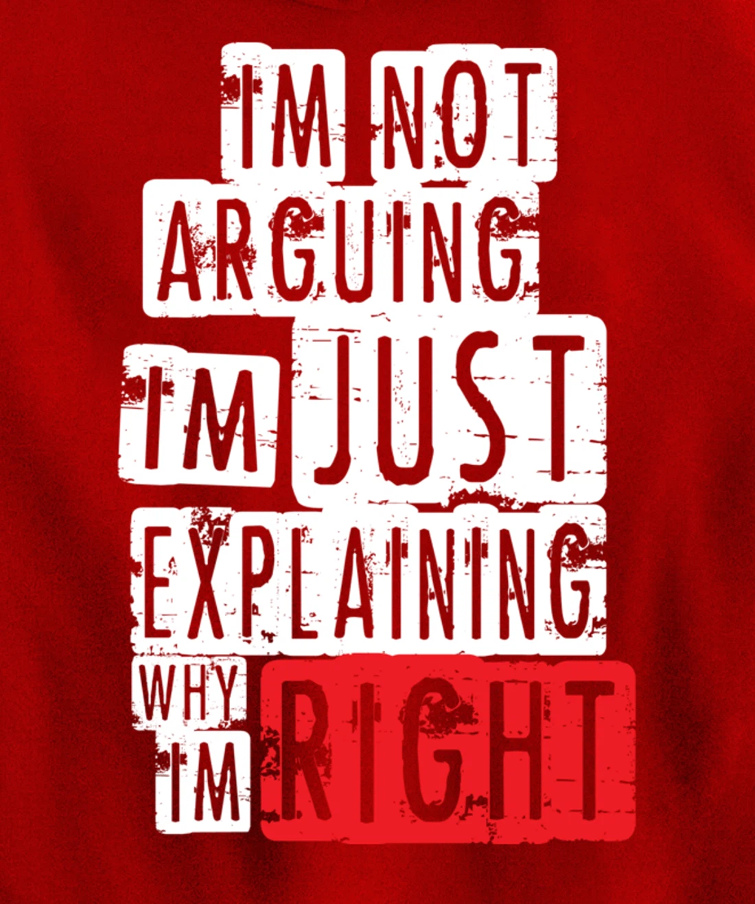 I'm Not Arguing I'm Just Explaining Why I'm Right! Pullover Hoodie