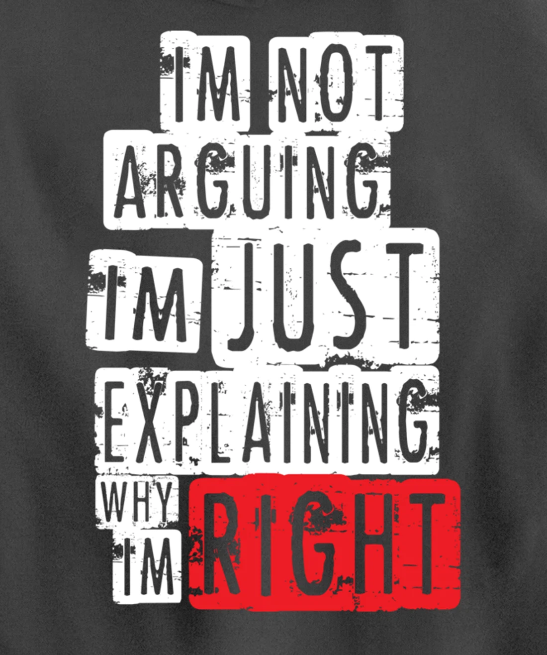 I'm Not Arguing I'm Just Explaining Why I'm Right! Pullover Hoodie