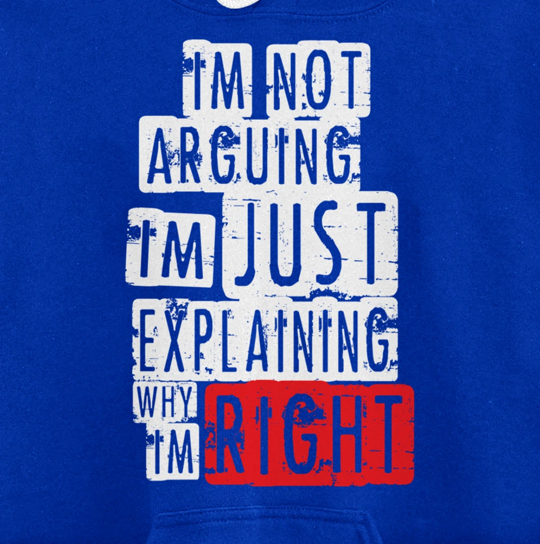 I'm Not Arguing I'm Just Explaining Why I'm Right! Pullover Hoodie