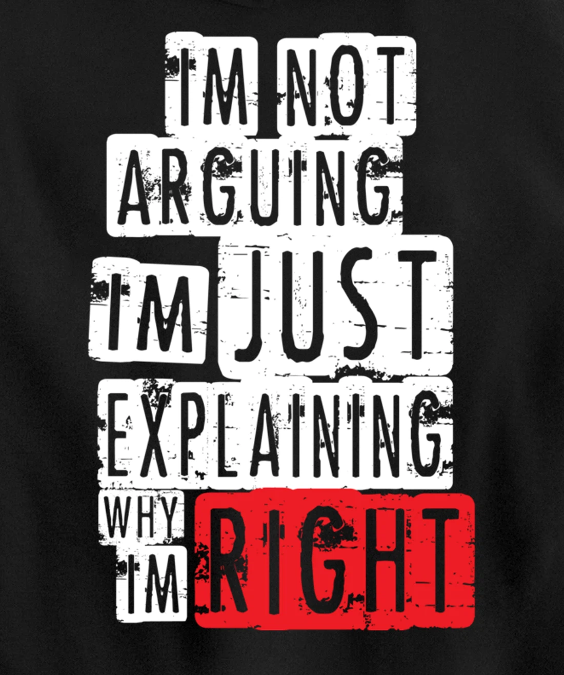 I'm Not Arguing I'm Just Explaining Why I'm Right! Pullover Hoodie