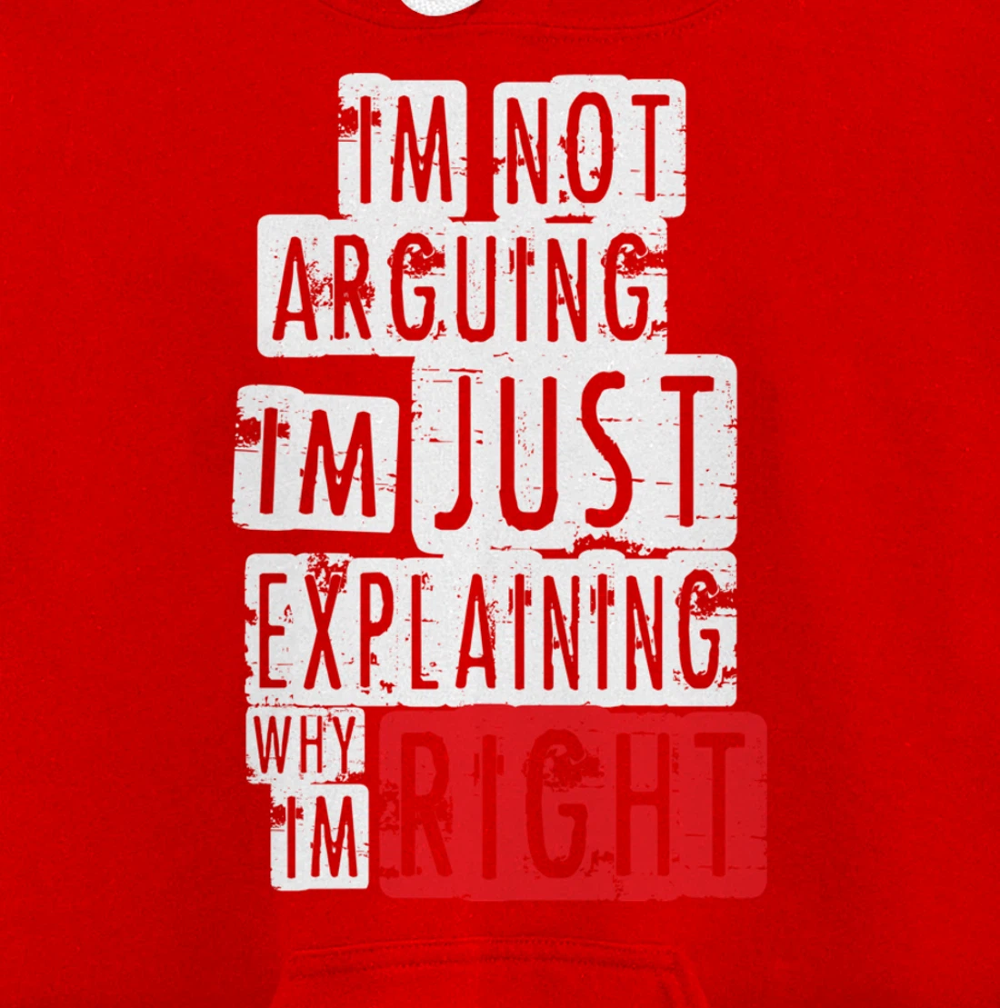 I'm Not Arguing I'm Just Explaining Why I'm Right! Pullover Hoodie
