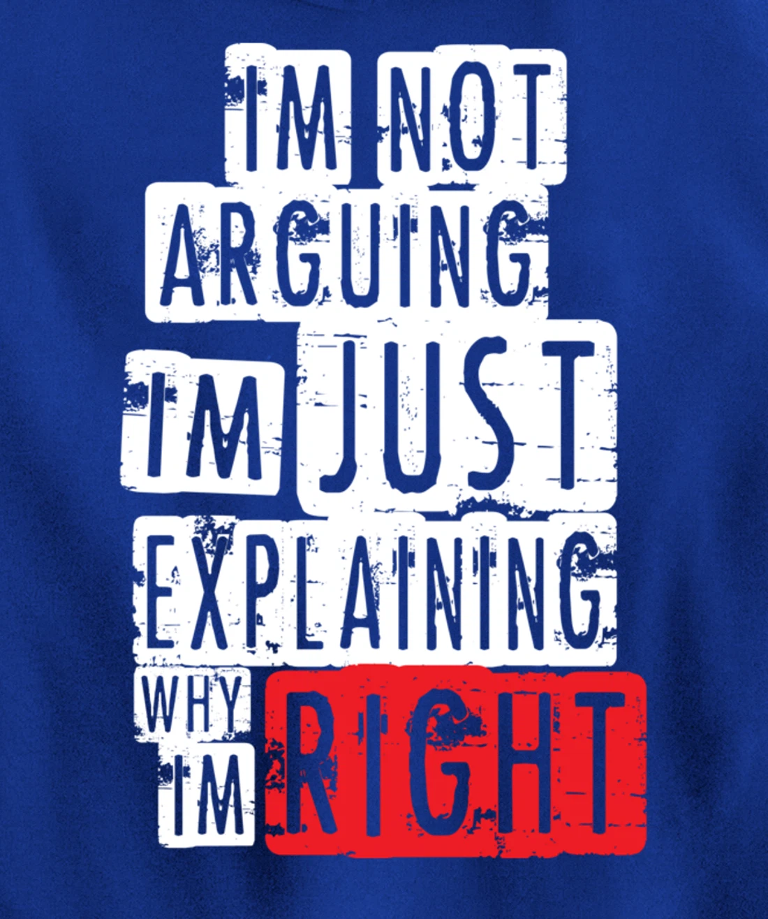 I'm Not Arguing I'm Just Explaining Why I'm Right! Pullover Hoodie