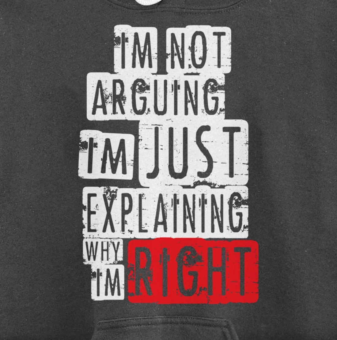 I'm Not Arguing I'm Just Explaining Why I'm Right! Pullover Hoodie