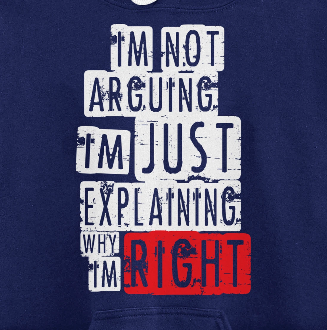 I'm Not Arguing I'm Just Explaining Why I'm Right! Pullover Hoodie