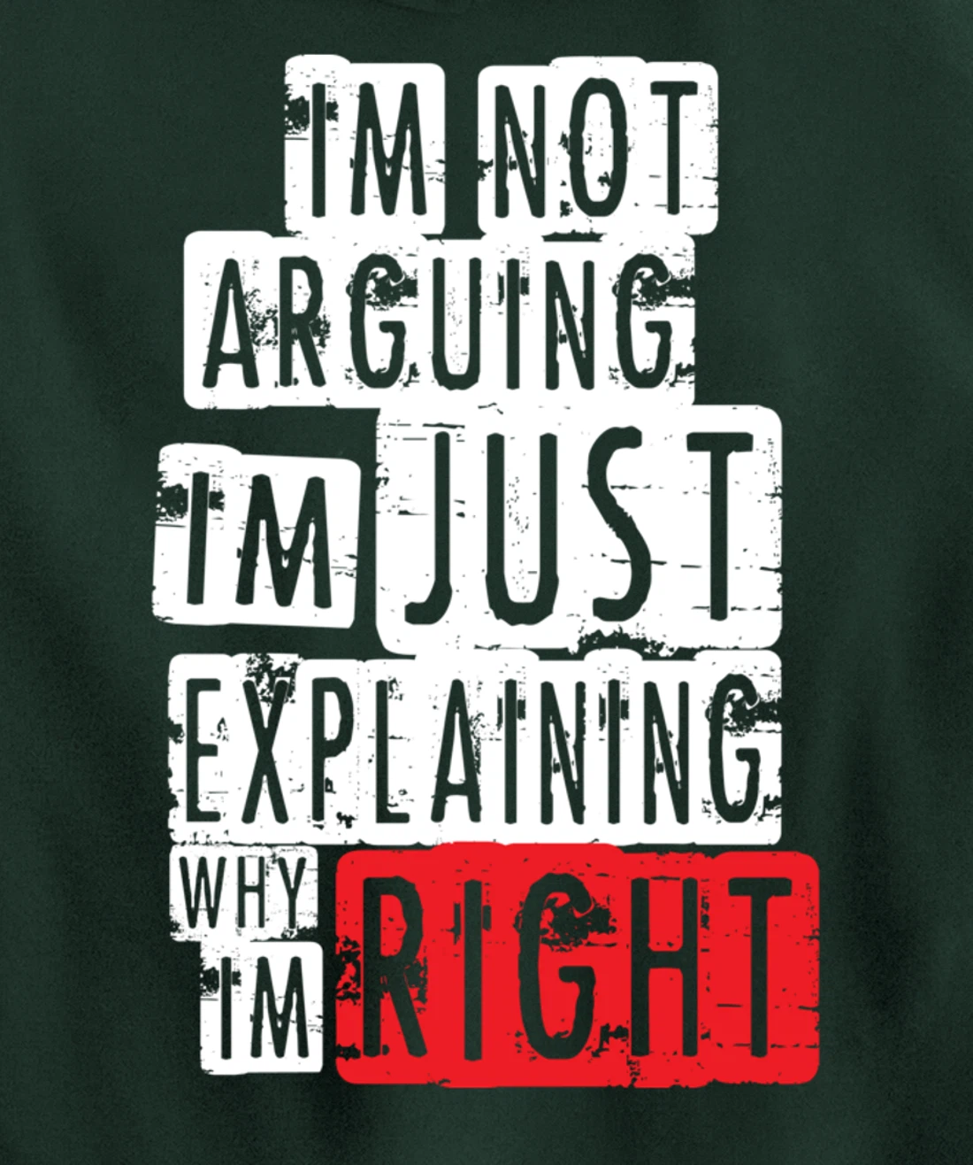 I'm Not Arguing I'm Just Explaining Why I'm Right! Pullover Hoodie