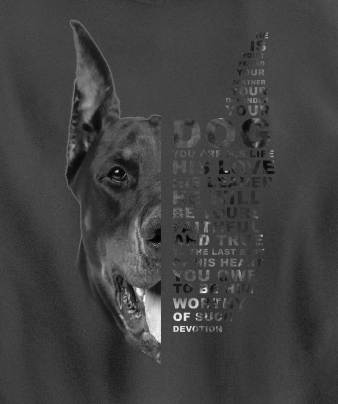 He Is Your Friend Your Partner Your Dog Doberman Dogs Lover Pullover Hoodie