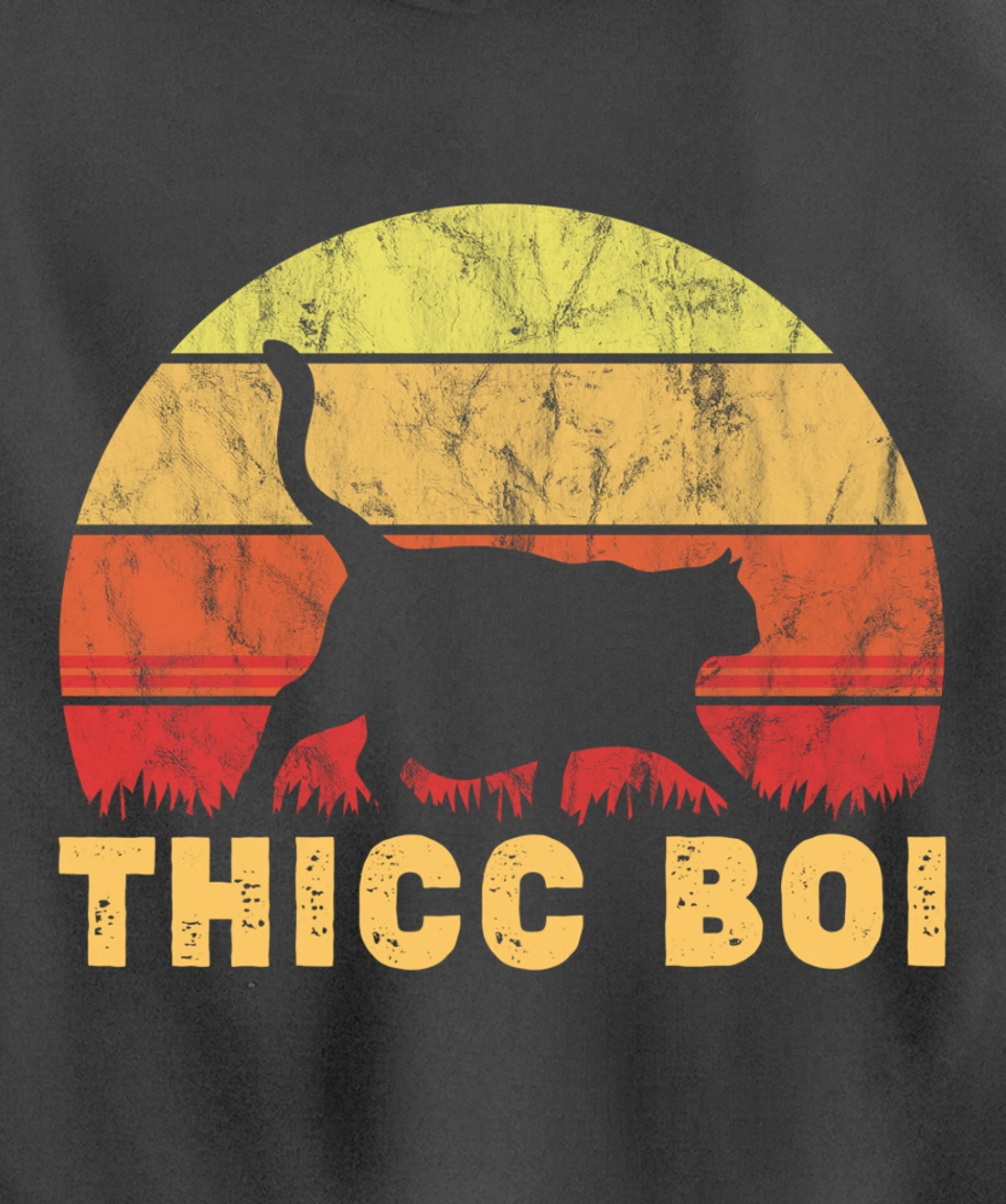 Vintage Thicc Boi Gifts for Boy Cat Fat Chonk Meme Lovers Pullover Hoodie