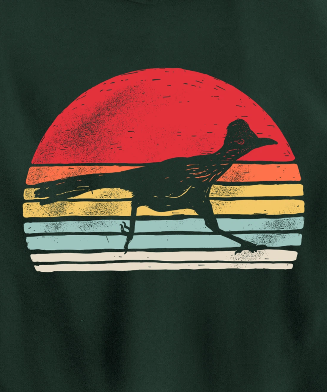 Vintage Retro Roadrunner Shirt Animal Lover Gift Pullover Hoodie