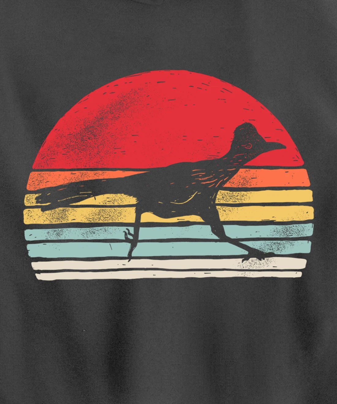 Vintage Retro Roadrunner Shirt Animal Lover Gift Pullover Hoodie
