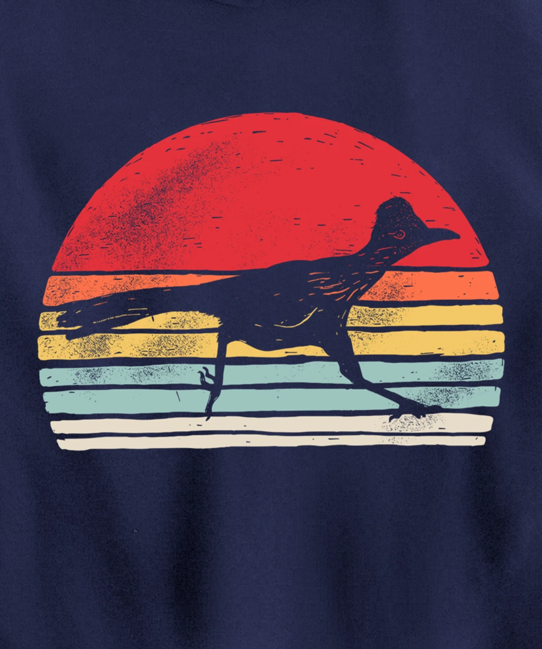 Vintage Retro Roadrunner Shirt Animal Lover Gift Pullover Hoodie