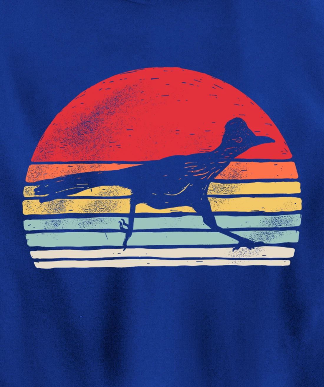 Vintage Retro Roadrunner Shirt Animal Lover Gift Pullover Hoodie